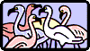 pelikaner.gif (2335 bytes)